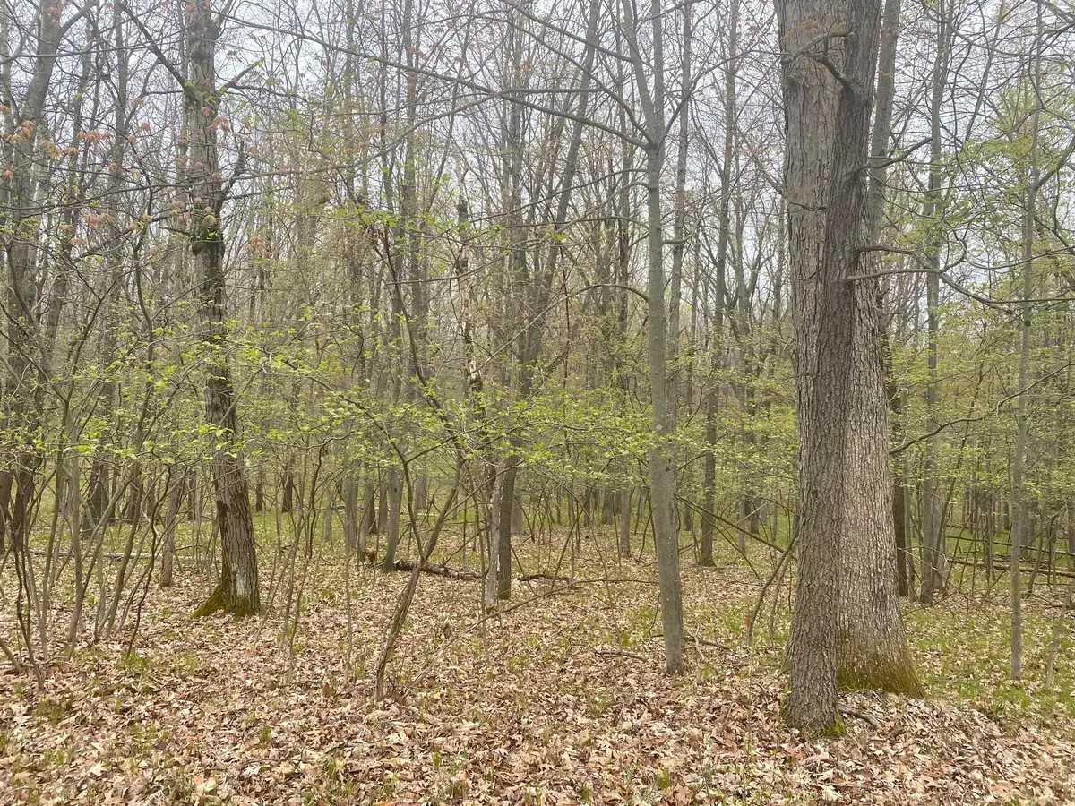 12090 Dubois Drive, Canadian Lakes, MI 49346 - #1