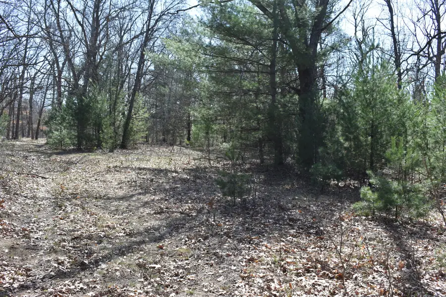 000 S Walhalla Road, Fountain, MI 49410 - #2