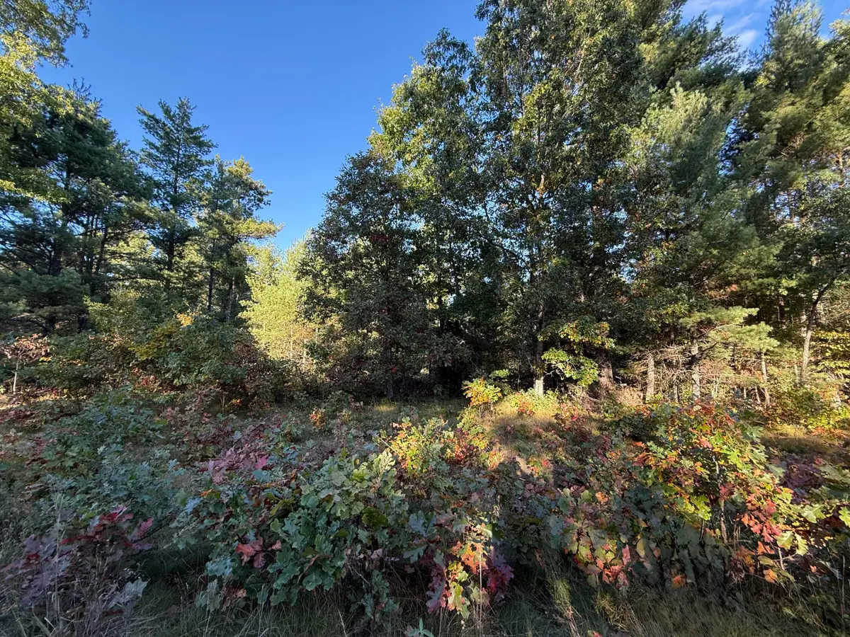 1242 Sydney Street #33, Whitehall, MI 49461 - #1