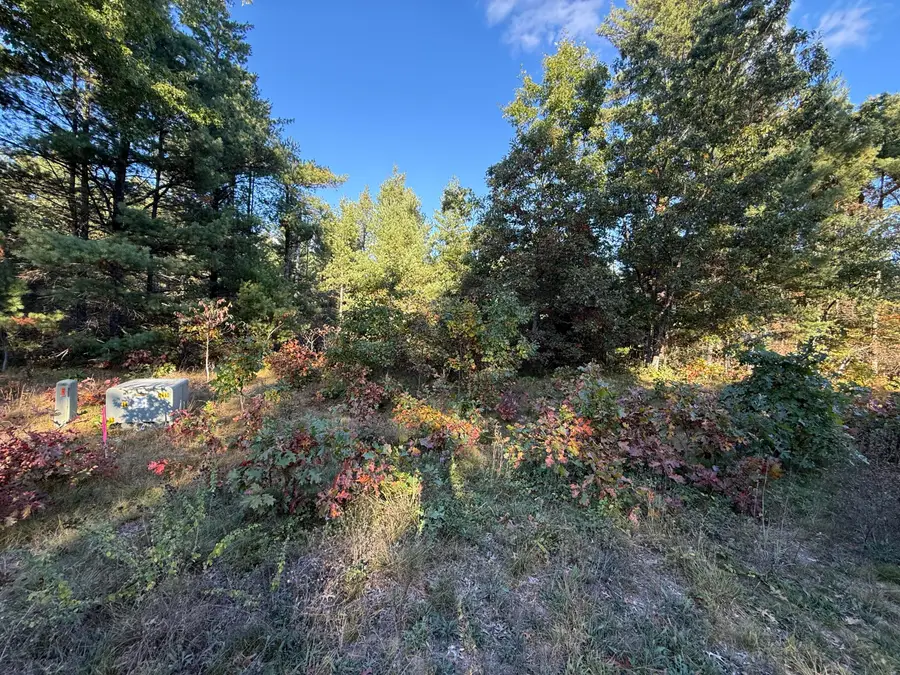 1242 Sydney Street #33, Whitehall, MI 49461 - #2