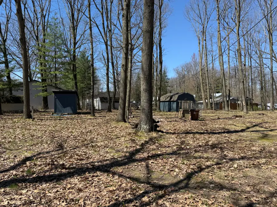 11671 Oriole Drive, Lakeview, MI 48850 - #2