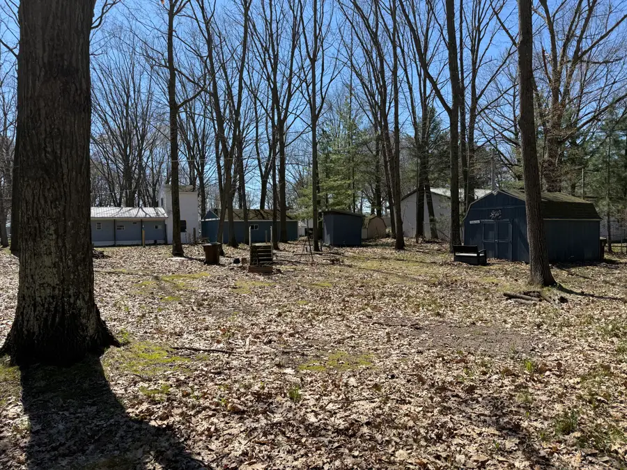 11671 Oriole Drive, Lakeview, MI 48850 - #3