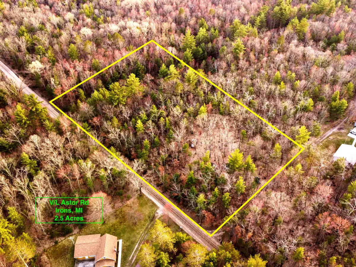 V/L Astor Road, Irons, MI 49644 - #1