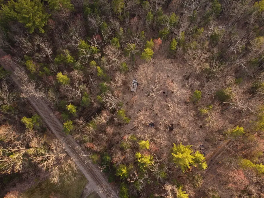 V/L Astor Road, Irons, MI 49644 - #2