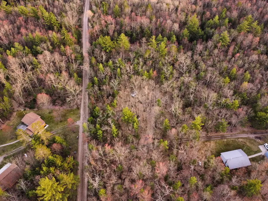 V/L Astor Road, Irons, MI 49644 - #3