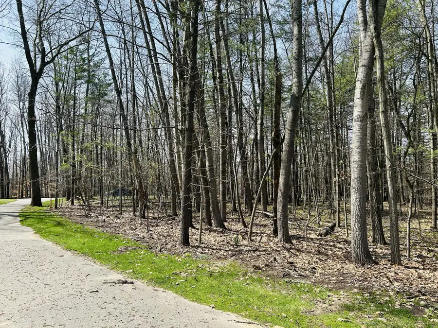 6718 Beechnut Ridge #239, Canadian Lakes, MI 49346 - #2