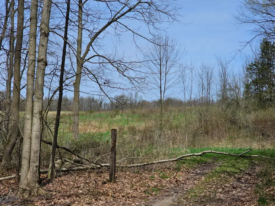 8475 Ross Road, Muir, MI 48860 - #3