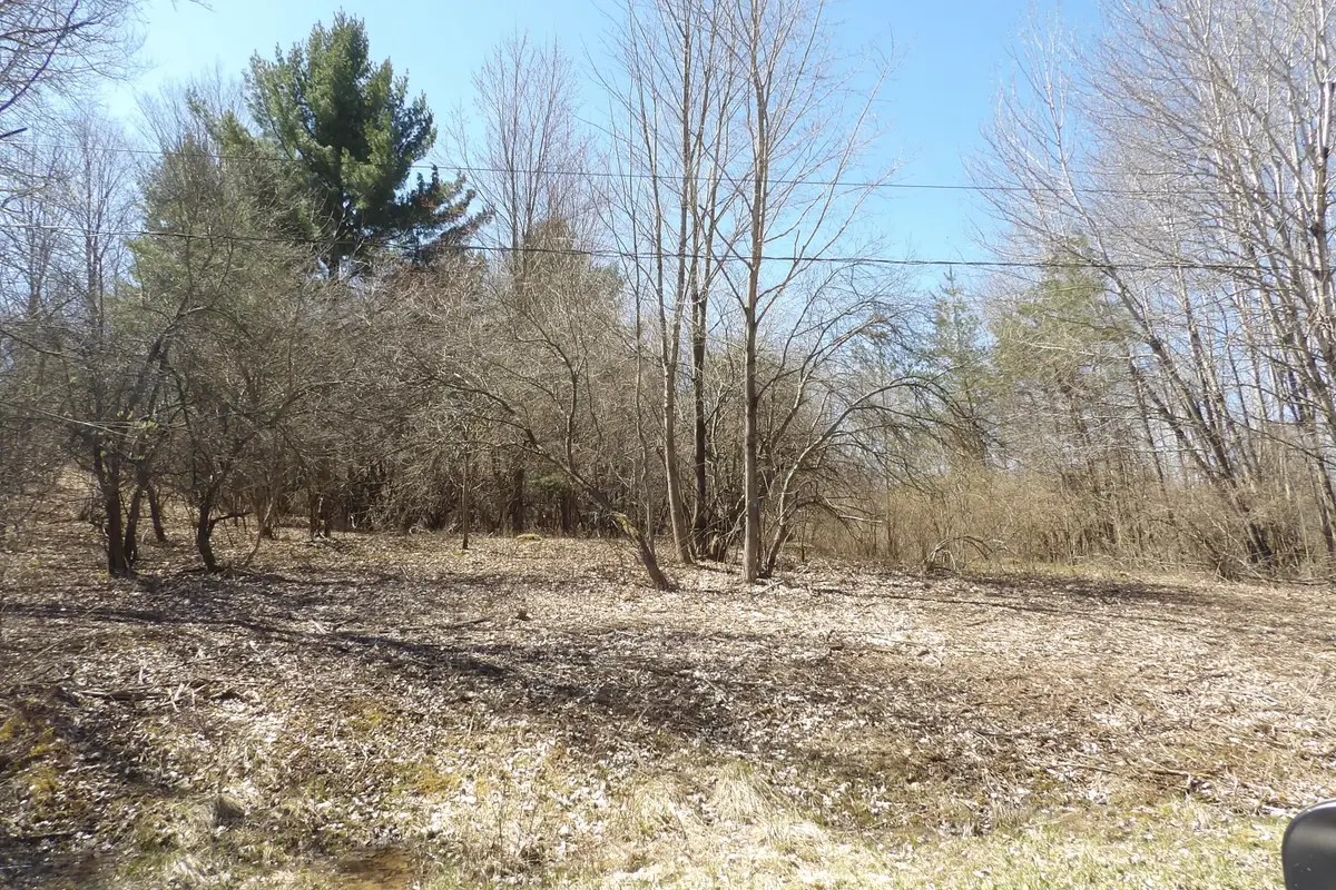 23094 Apache Trail, Evart, MI 49631 - #1