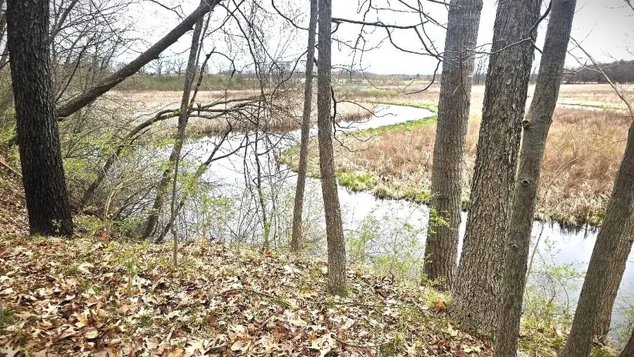 0 Palmer Road, Brooklyn, MI 49230 - #2