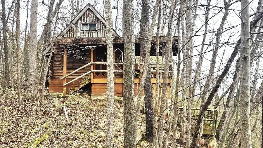 0 Palmer Road, Brooklyn, MI 49230 - #3