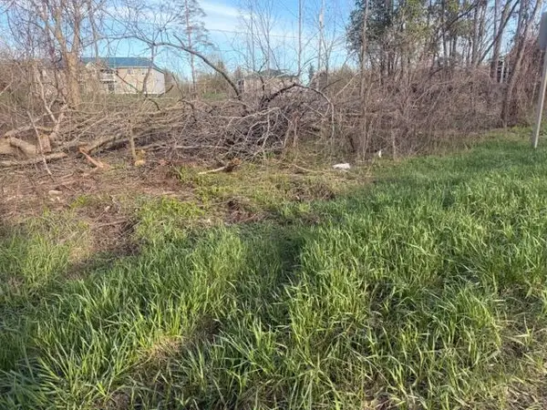 0 S Mason Drive, Grant, MI 49327