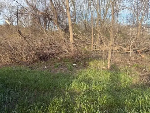 0 S Mason Drive, Grant, MI 49327 - #2