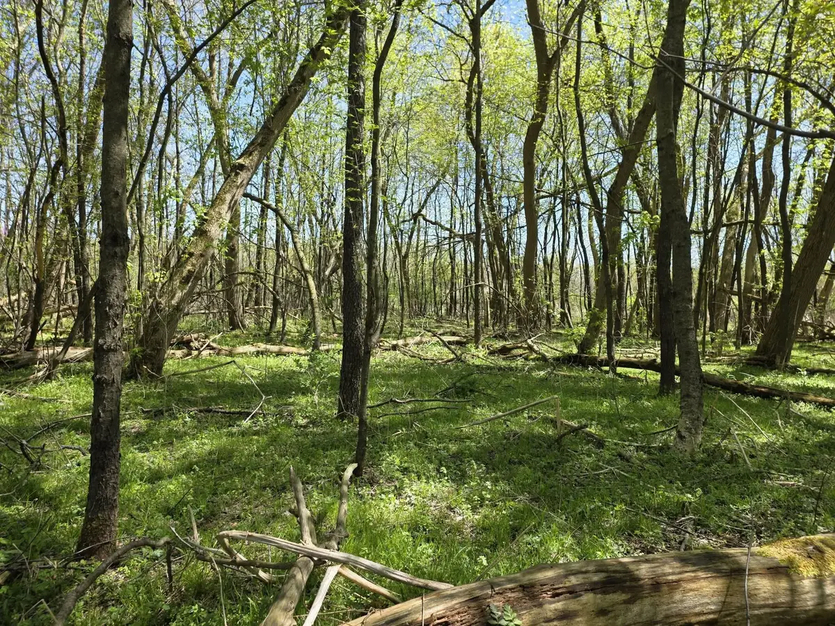 V/l Bellevue, Bellevue, MI 49021 - #1