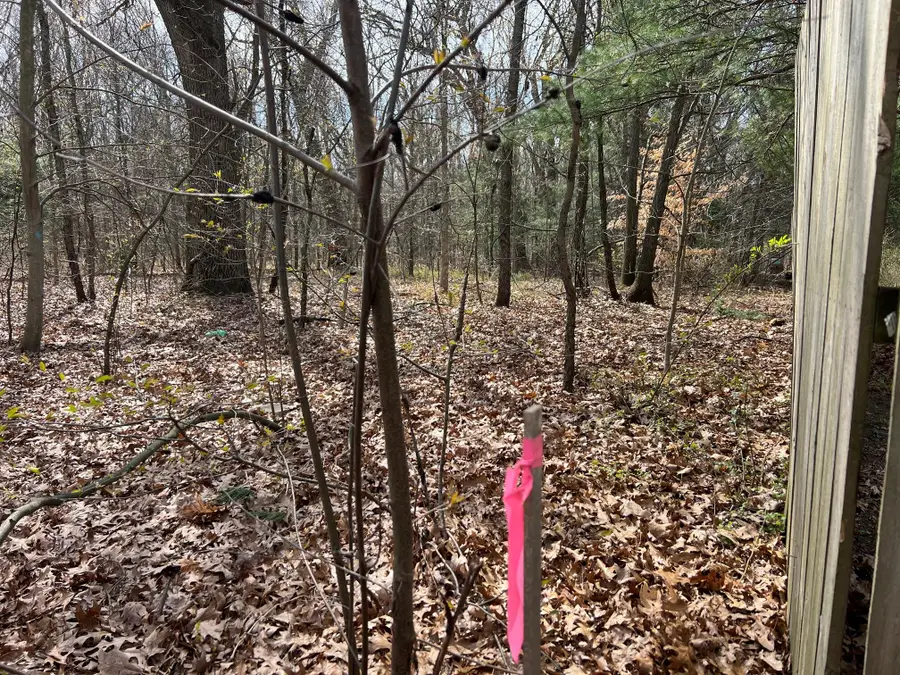 V/L Nielsen Road, Muskegon, MI 49445 - #2