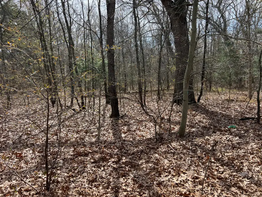 V/L Nielsen Road, Muskegon, MI 49445 - #3