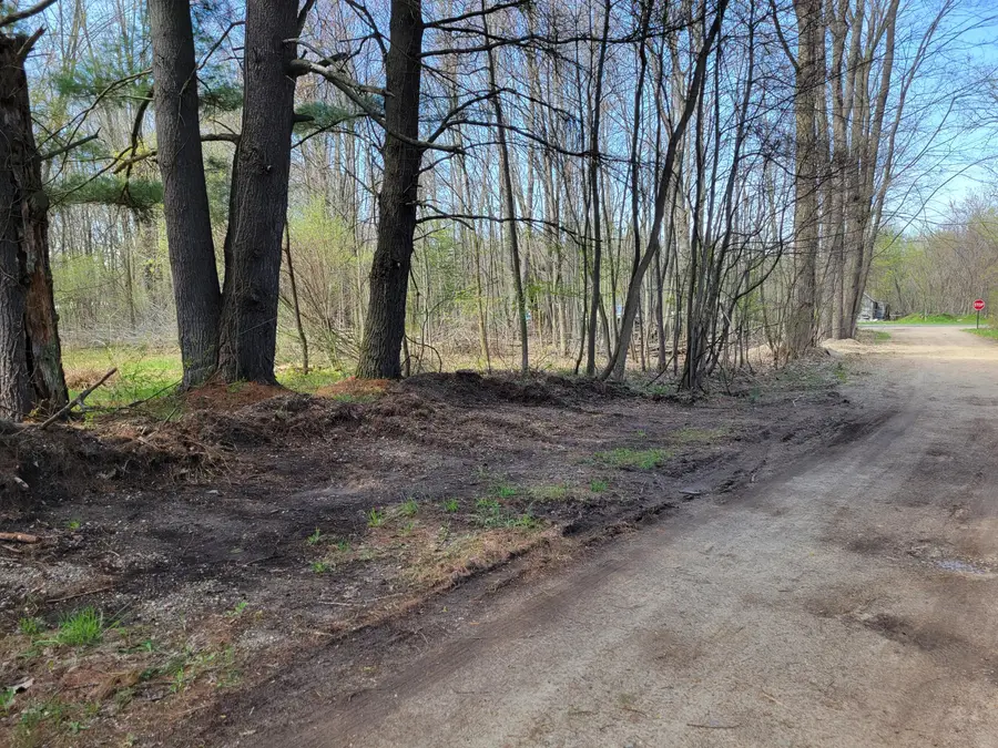 24228 Miami Avenue, Grand Junction, MI 49056 - #2