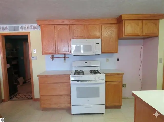 7861 S Dyer Lake Drive, Falmouth, MI 49632 - #3