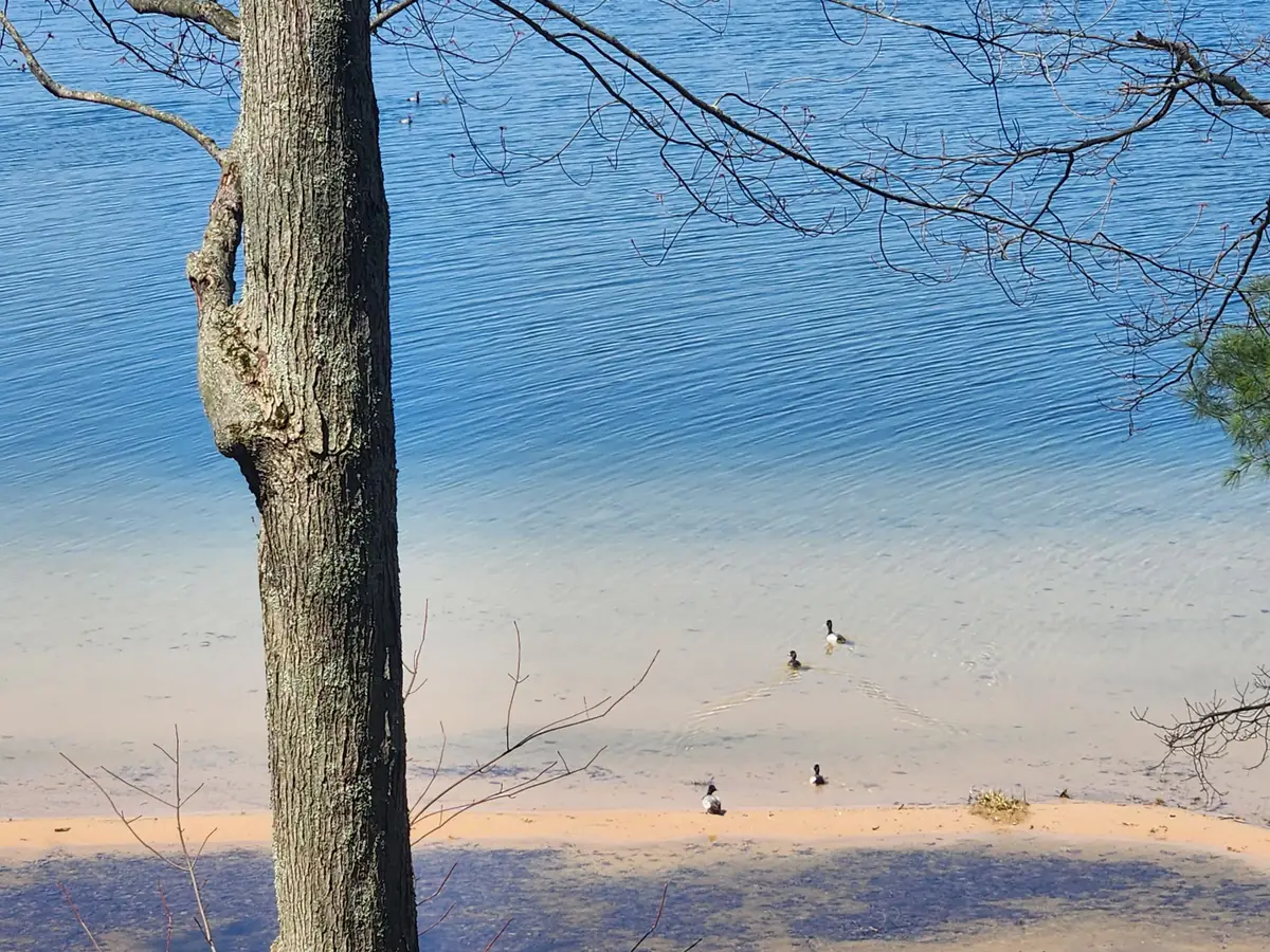 10962 S Minising Court, Baldwin, MI 49304 - #1