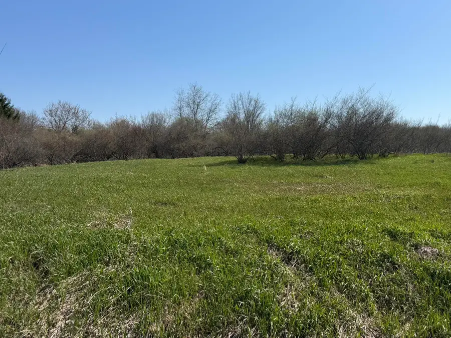 4422 S Ordway Road, Custer, MI 49405 - #2