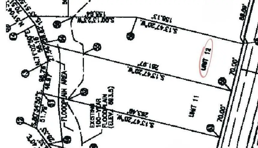 262 Canfield Street, Milan, MI 48160 - #2