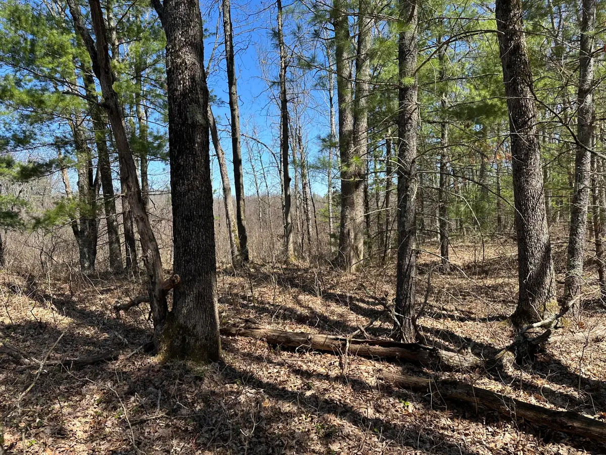 00 S Dillard Street, Baldwin, MI 49304 - #1