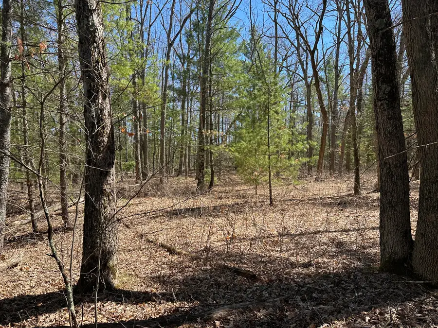 00 S Dillard Street, Baldwin, MI 49304 - #2