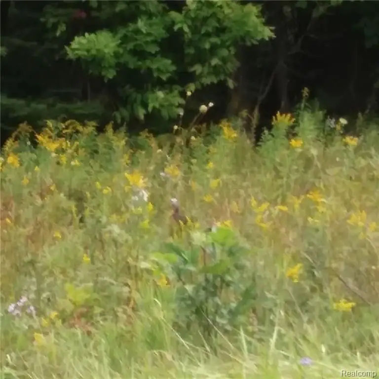 Westwood Drive, Oscoda, MI 48750 - #3