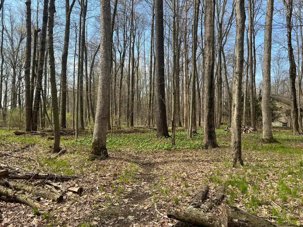 Waterloo Munith Road, Grass Lake, MI 49240 - #1