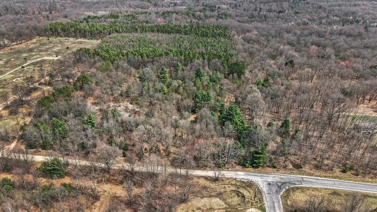 V/L N 56th Avenue, Mears, MI 49436 - #1