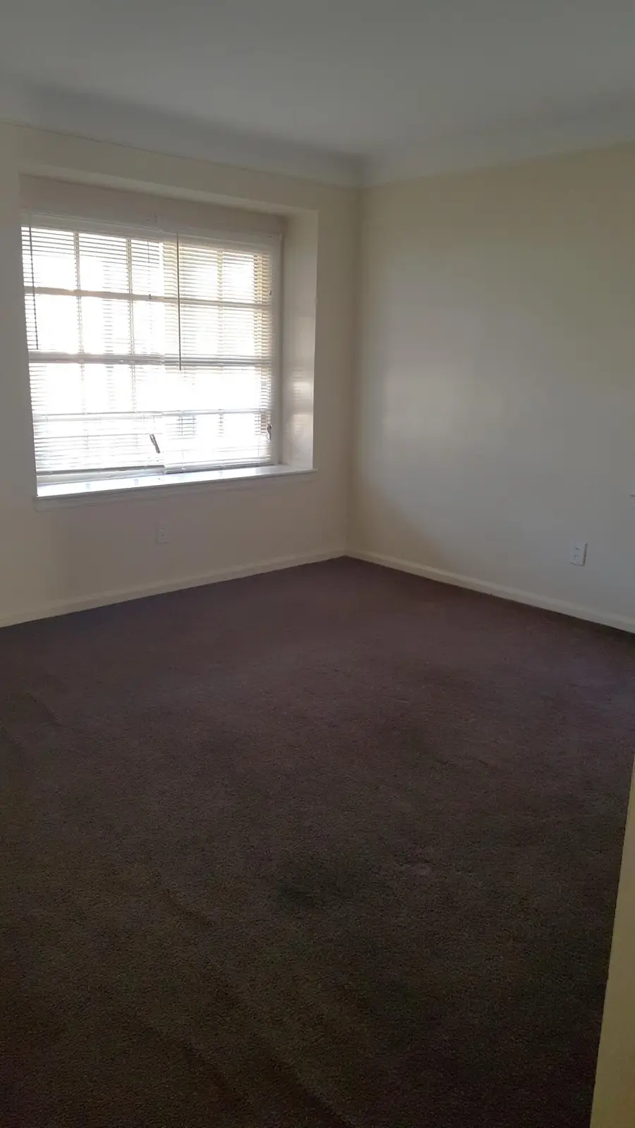 10449 Merlin Street, Detroit, MI 48224 - #3