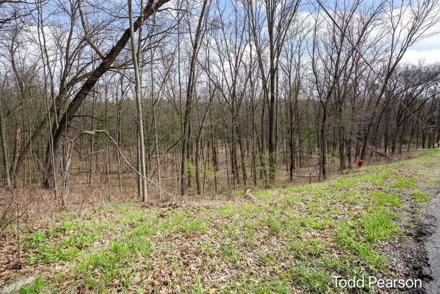 10971 Foreman Street Se, Lowell, MI 49331 - #3