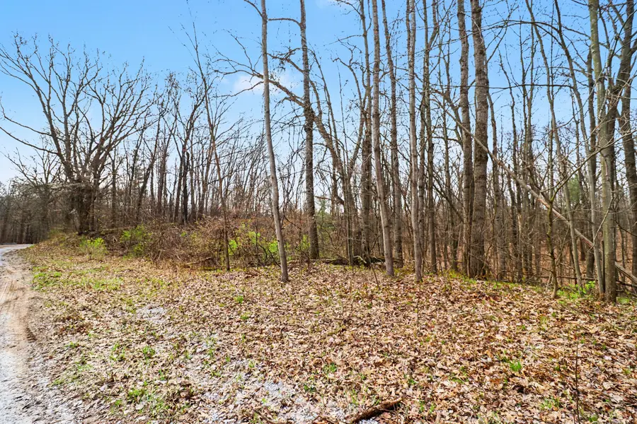 6940 19 Mile Road Ne, Cedar Springs, MI 49319 - #3