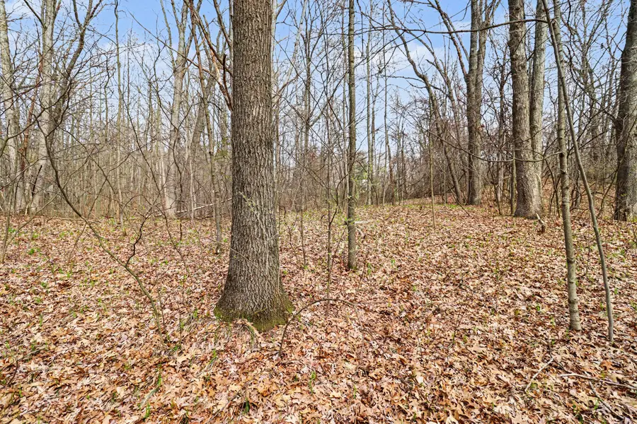 Address Withheld By Seller, Cedar Springs, MI 49319 - #3