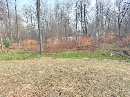 202 Hills Circle, Leroy, MI 49655 - #3