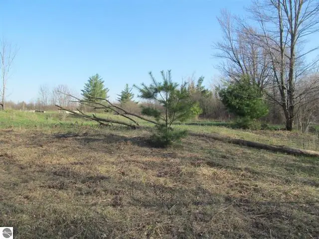 000 90th Avenue, Evart, MI 49631 - #3