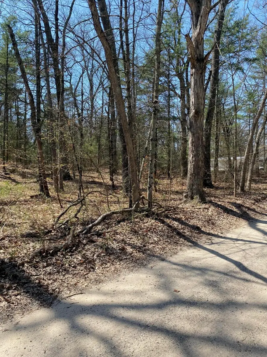 VL 16th Street, Twin Lake, MI 49457 - #3
