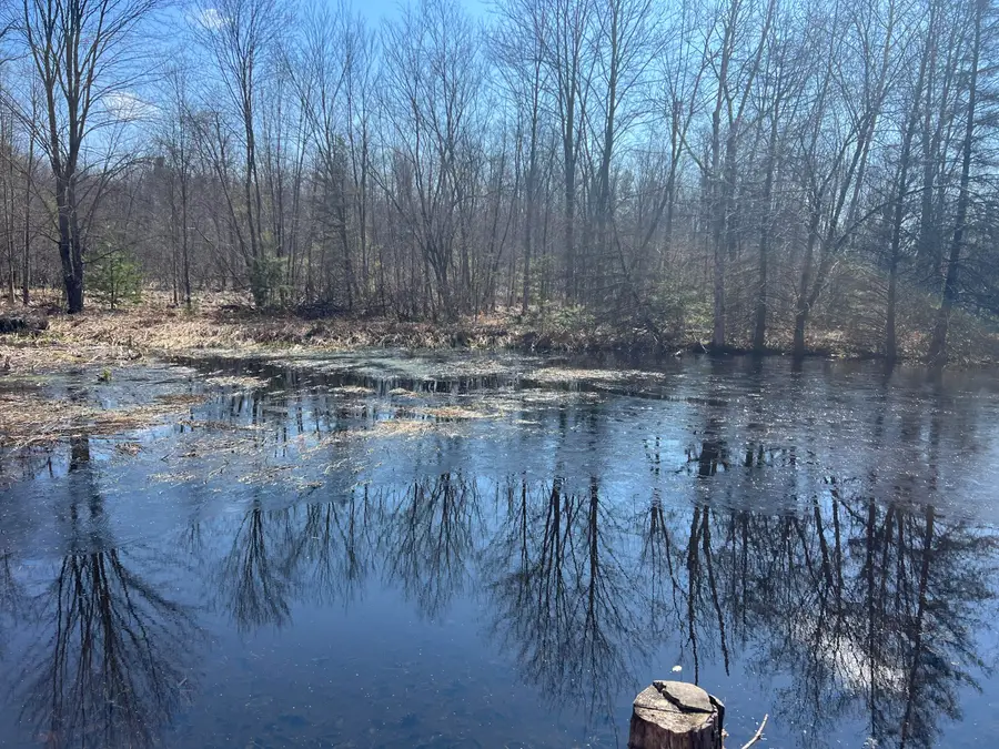 243 W Turkey Lane, White Cloud, MI 49349 - #3