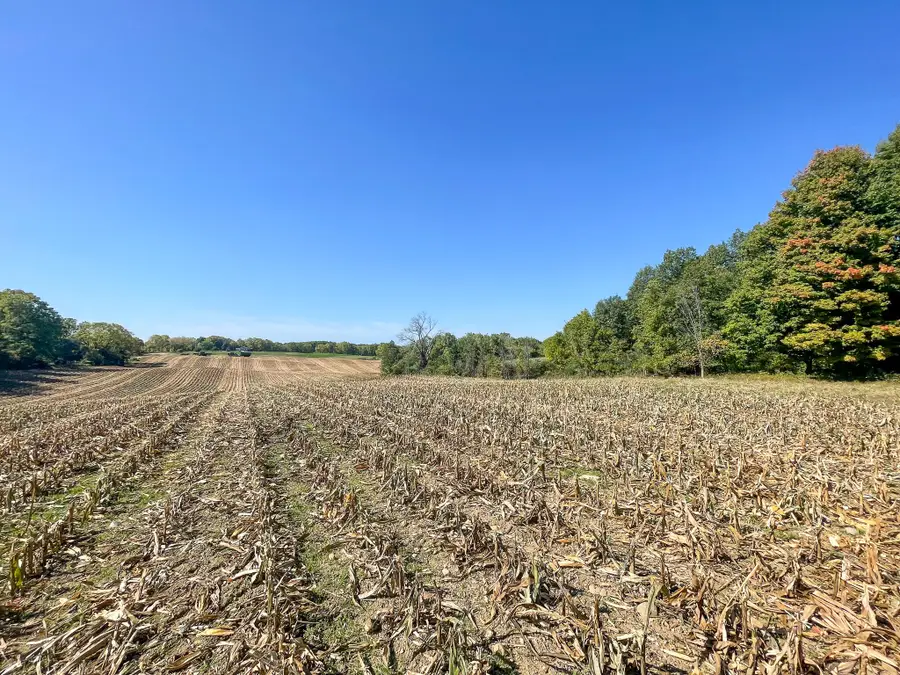 13acres 19th Street, Hopkins, MI 49328 - #2