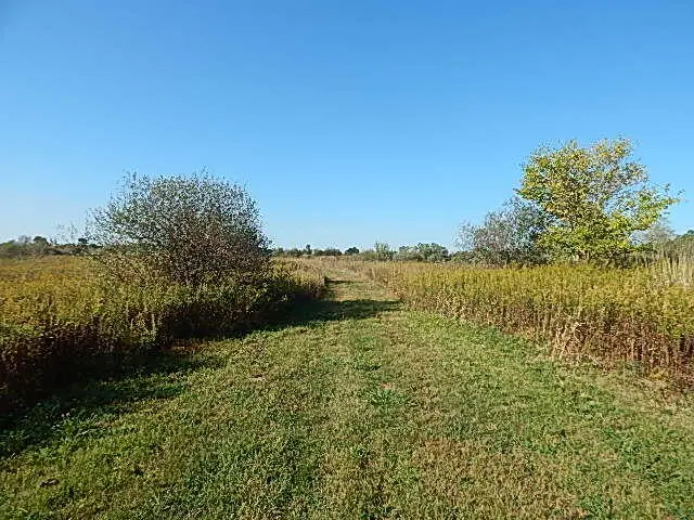 2857 Oakley Road, Stockbridge, MI 49285 - #3