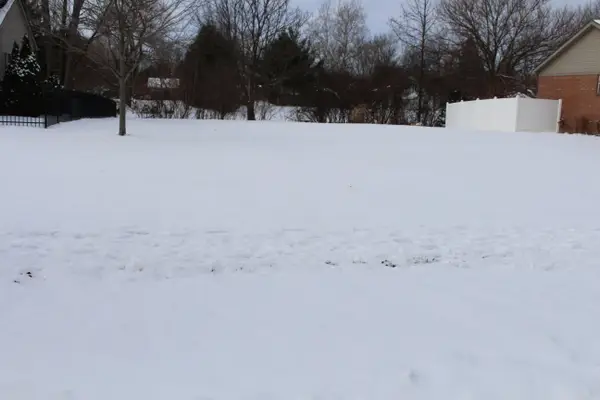 12377 Spencer Lane, Carleton, MI 48117