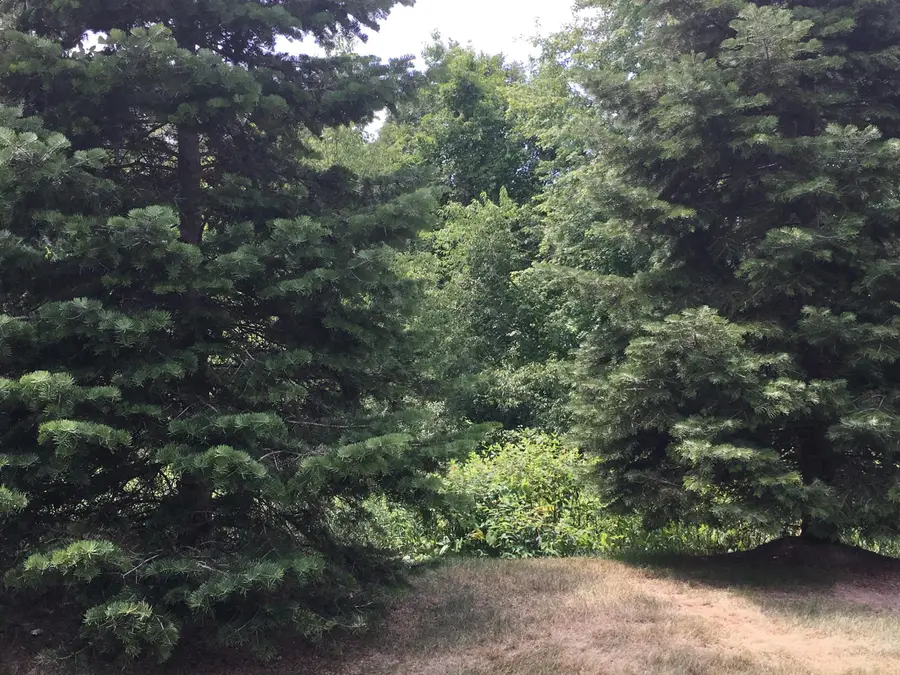 20209 Chesapeake Circle, Walled Lake, MI 48390 - #3