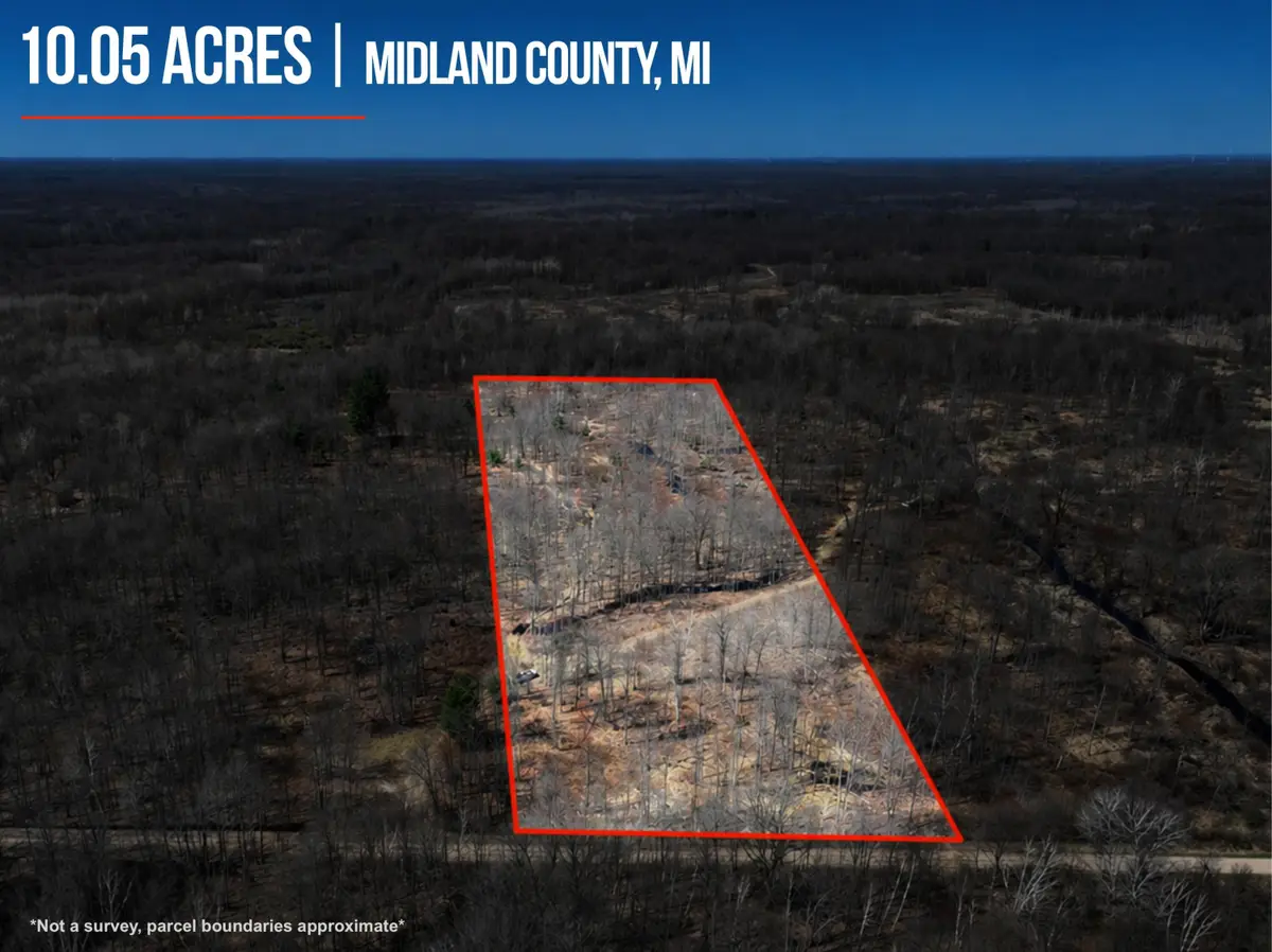 V/L 10A P1 N Magruder Road, Coleman, MI 48618 - #1