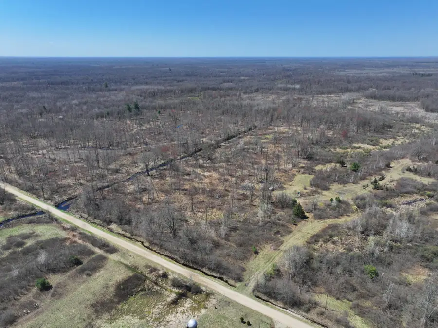 V/L 10A P4 N Magruder Road, Coleman, MI 48618 - #3