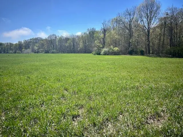 Parcel 1 70th Street, South Haven, MI 49090 - #1