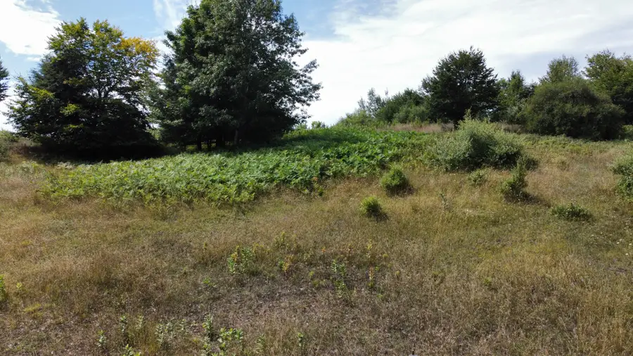 86 N Slope Drive, Onekama, MI 49675 - #3