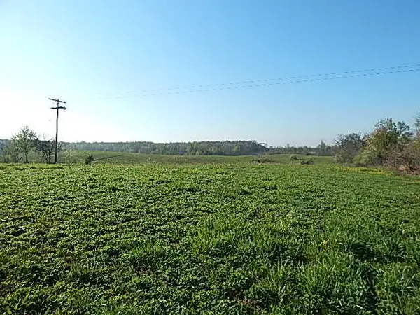 8833 W Territorial Road, Camden, MI 49232