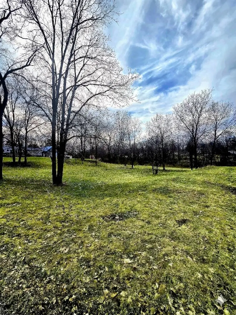 TBD Mcpherson Street, Stanton, MI 48888 - #1
