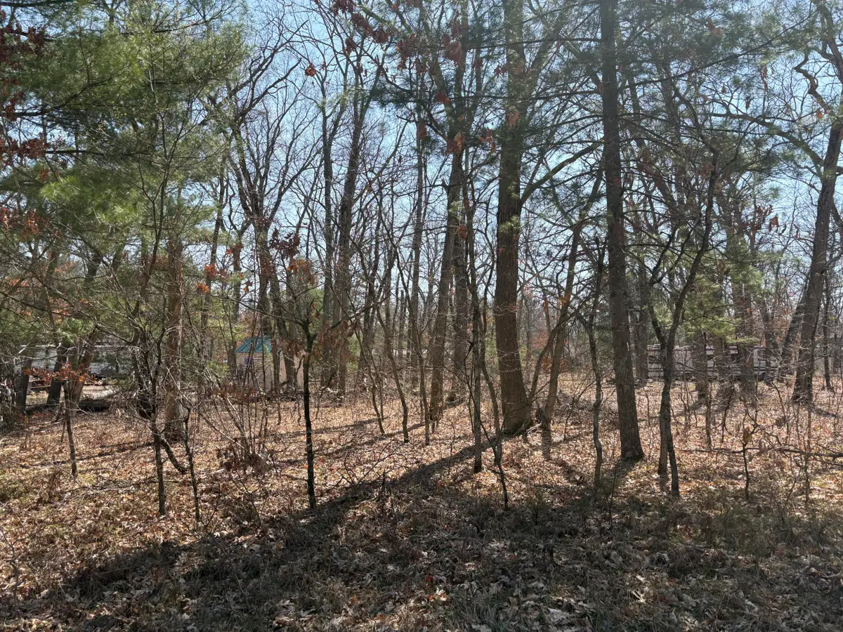 S Chief Okemos Trail, Baldwin, MI 49304 - #1