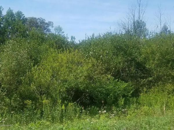 V/L S Marlene Street #Lot 17, Rothbury, MI 49452