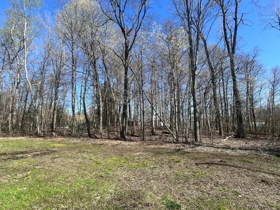 Lot 160 E Shore Drive, Stanton, MI 48888 - #3